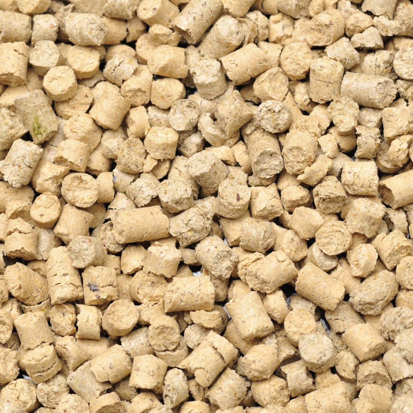 Shrimp King Snow Pops