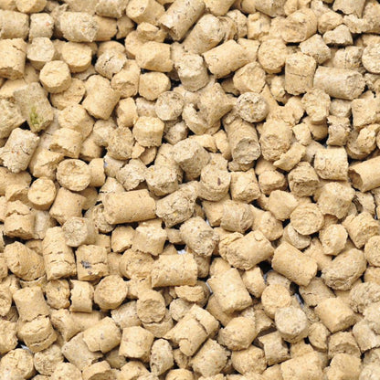 Shrimp King Snow Pops