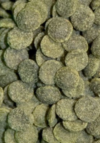Ocean Nutrition Shrimp Wafers