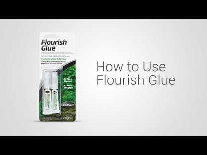 Seachem Flourish Glue
