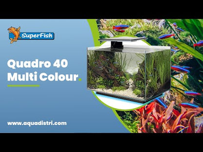 Superfish Quadro 40 Multi-Colour LED