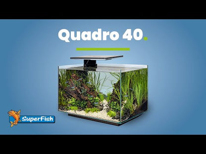 Superfish Quadro 40 Pro (White/Blue LED)