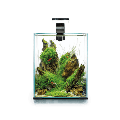 Aquael Shrimp Set Day & Night