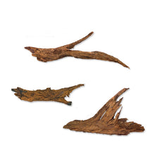 Driftwood 10-60cm