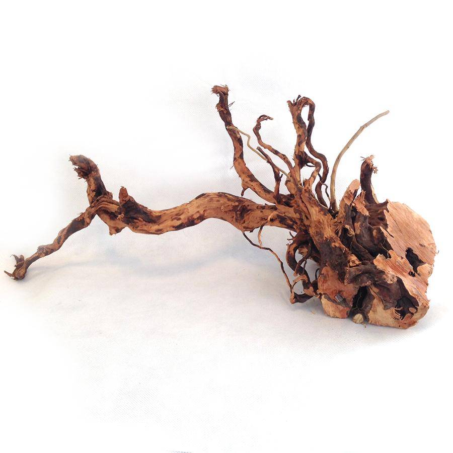 Spiderwood 20-60cm