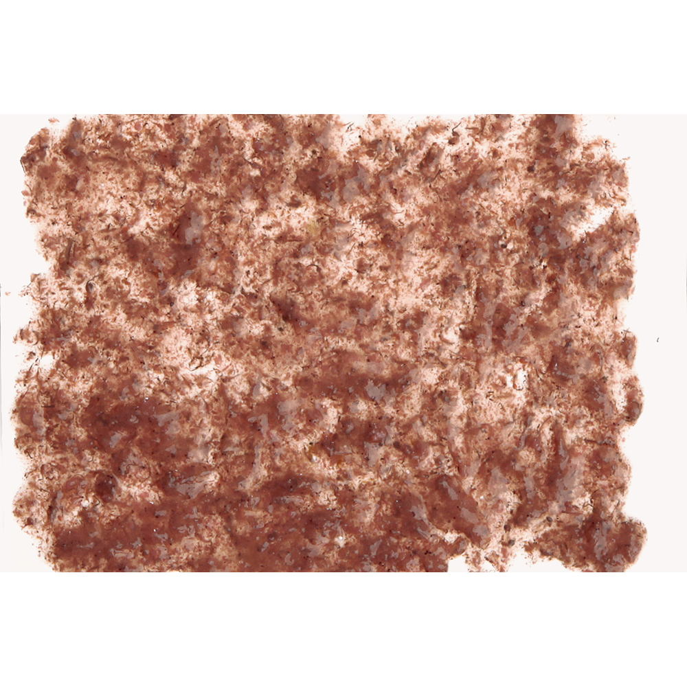 Tetra Fresh Delica Brine Shrimp