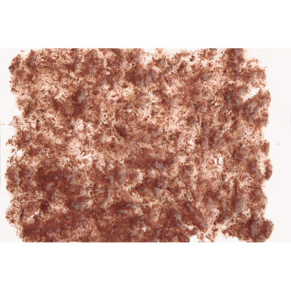 Tetra Fresh Delica Brine Shrimp