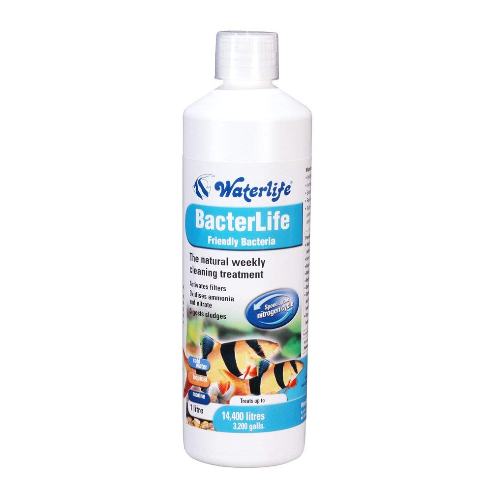 Waterlife Bacterlife
