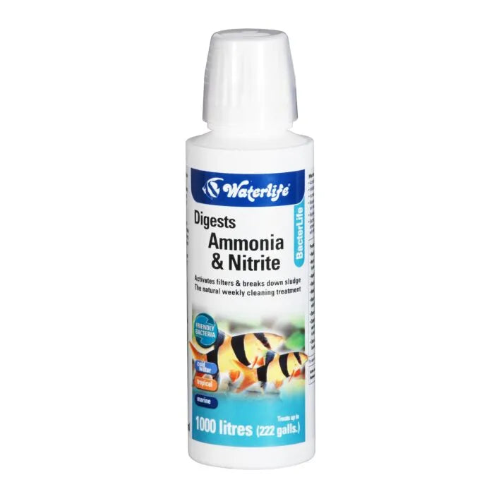 Waterlife Bacterlife