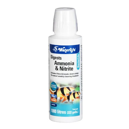 Waterlife Bacterlife