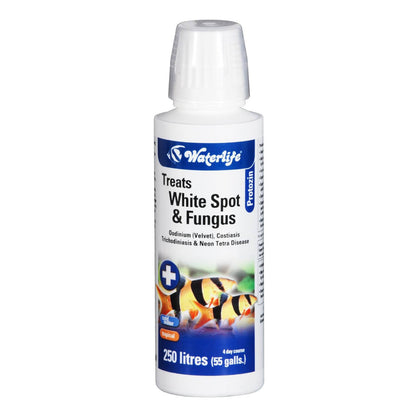 Waterlife Protozin