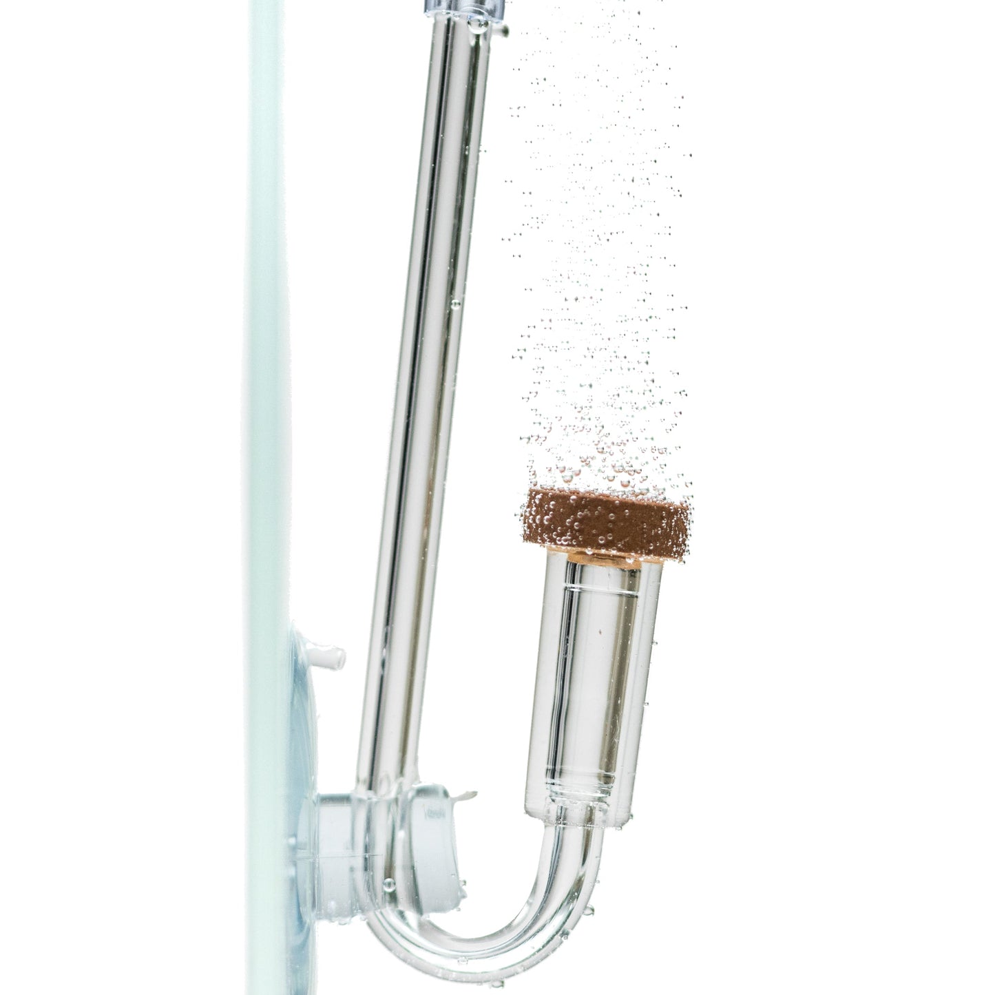 Dennerle Plants CO2 Starter Kit