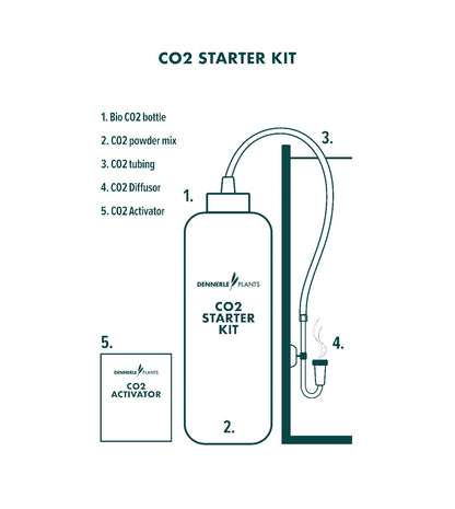 Dennerle Plants CO2 Starter Kit