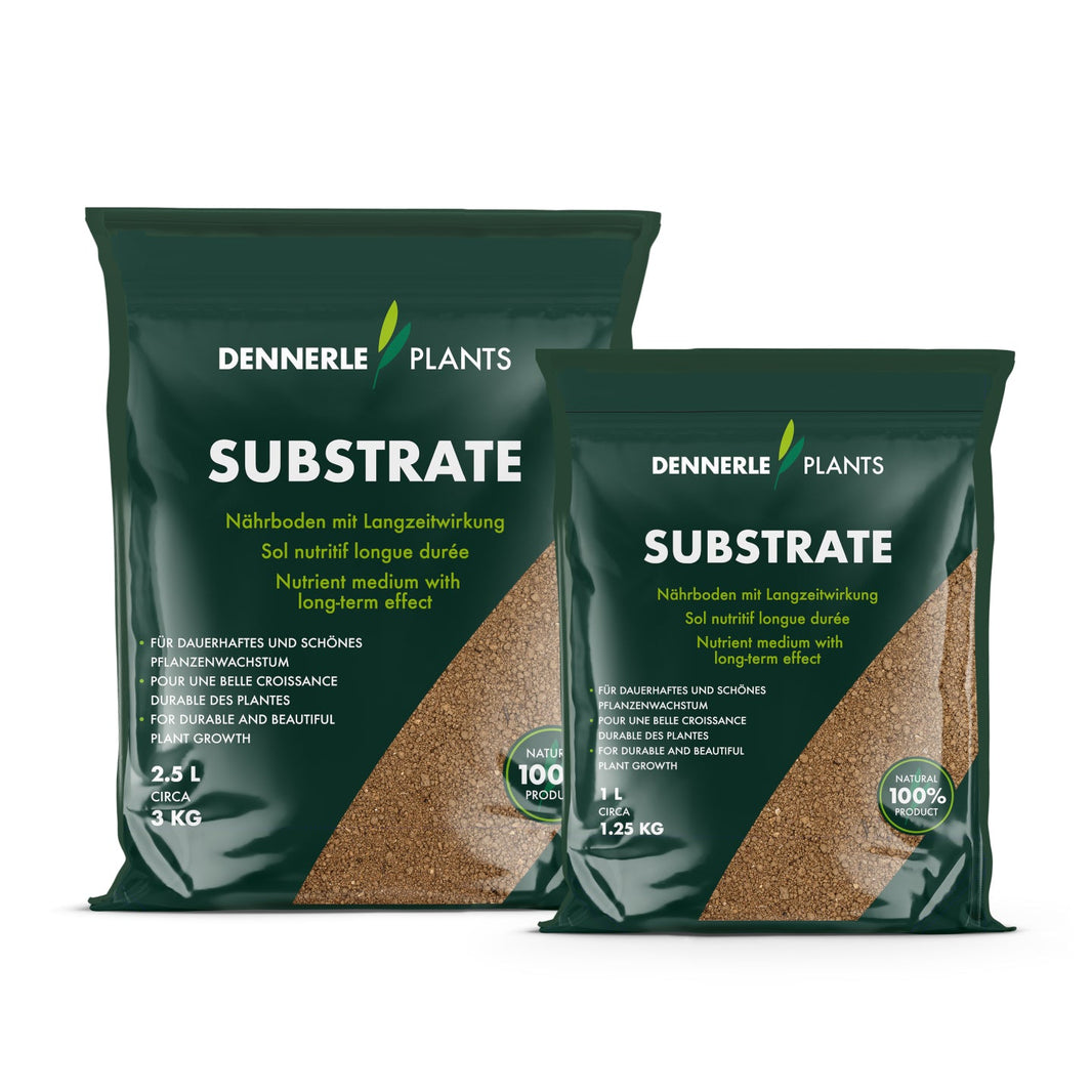 Substrate – Pro Shrimp
