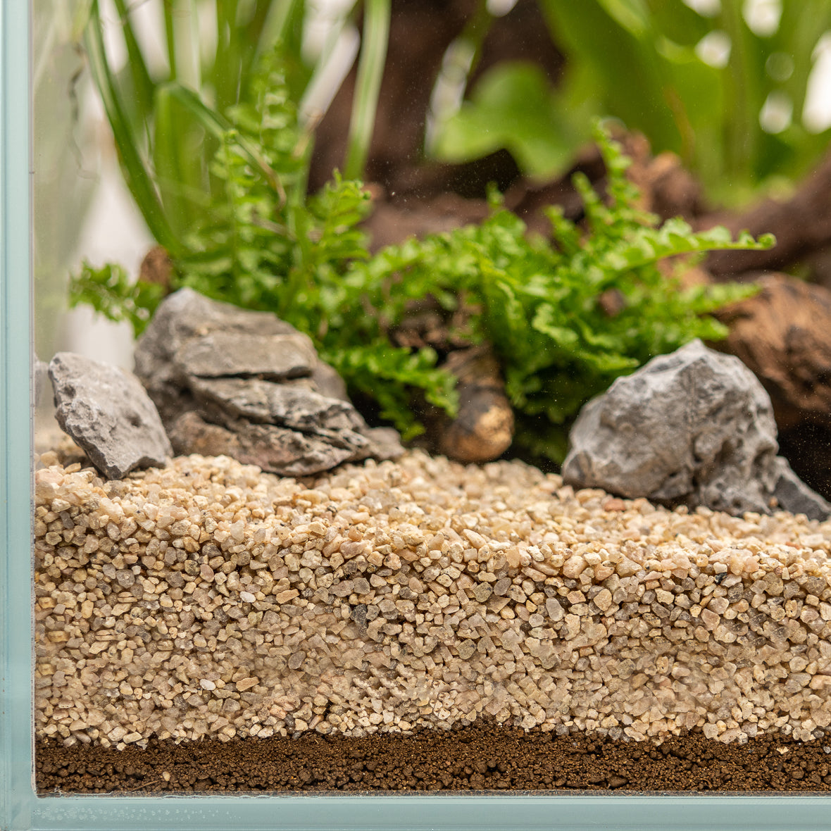 Dennerle Plants Substrate